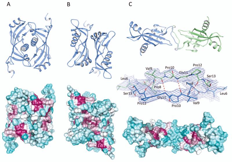 Fig. 4