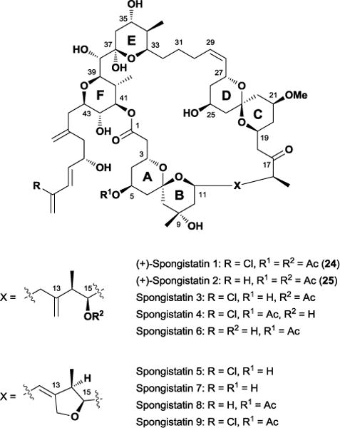 Figure 21