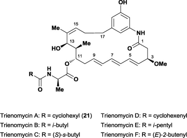 Figure 18