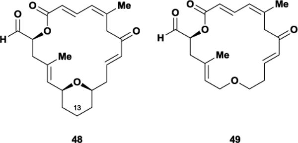 Figure 41