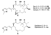 Figure 24