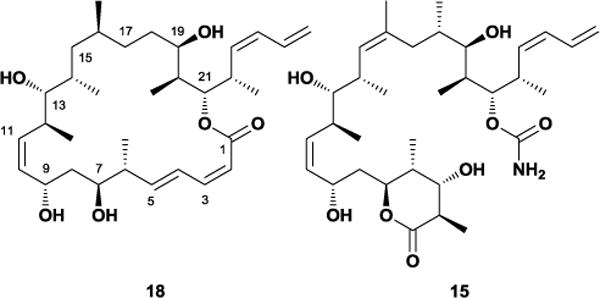 Figure 15