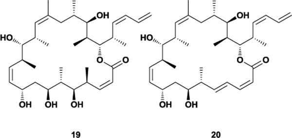 Figure 17