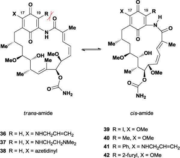 Figure 31