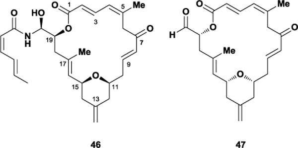 Figure 37