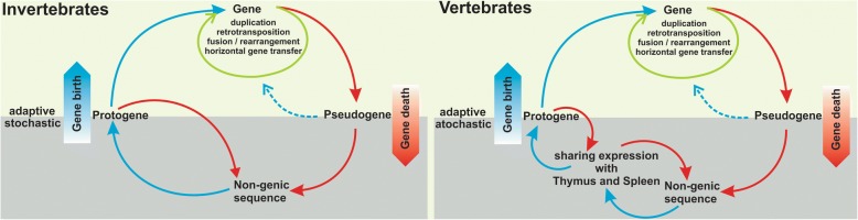 Fig. 8