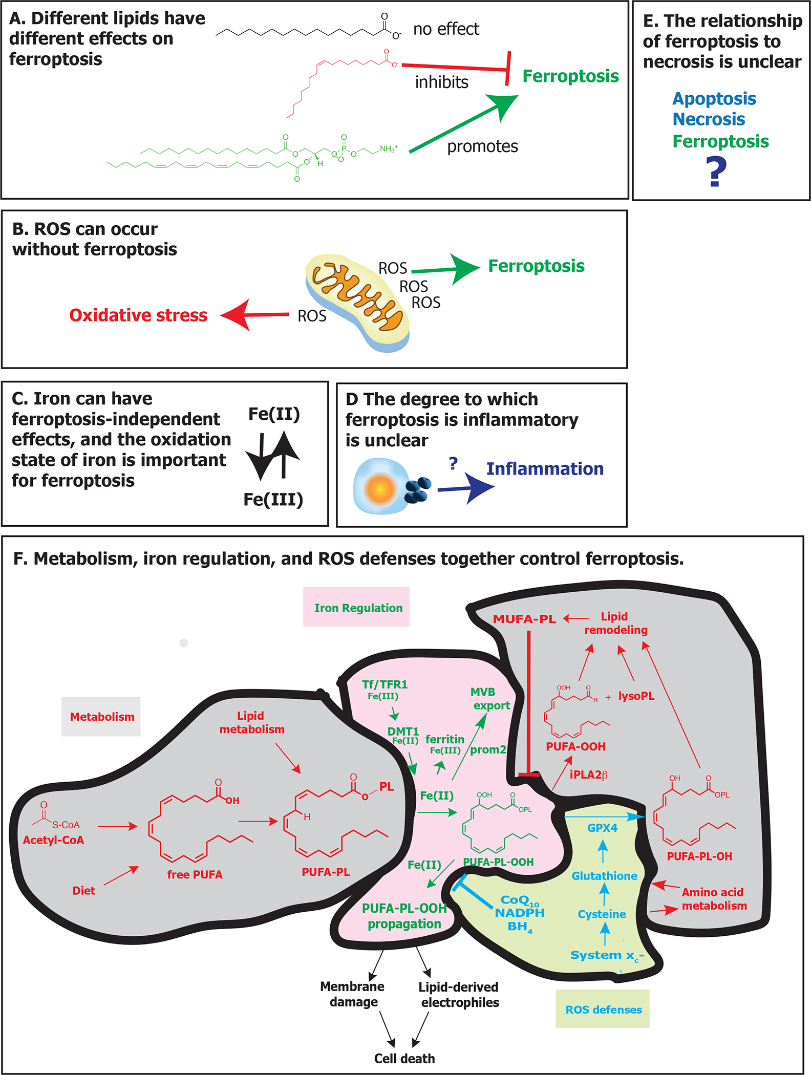 Figure 6.