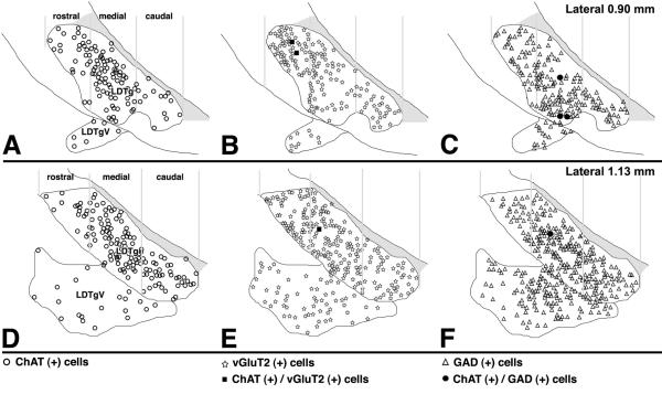 Figure 13