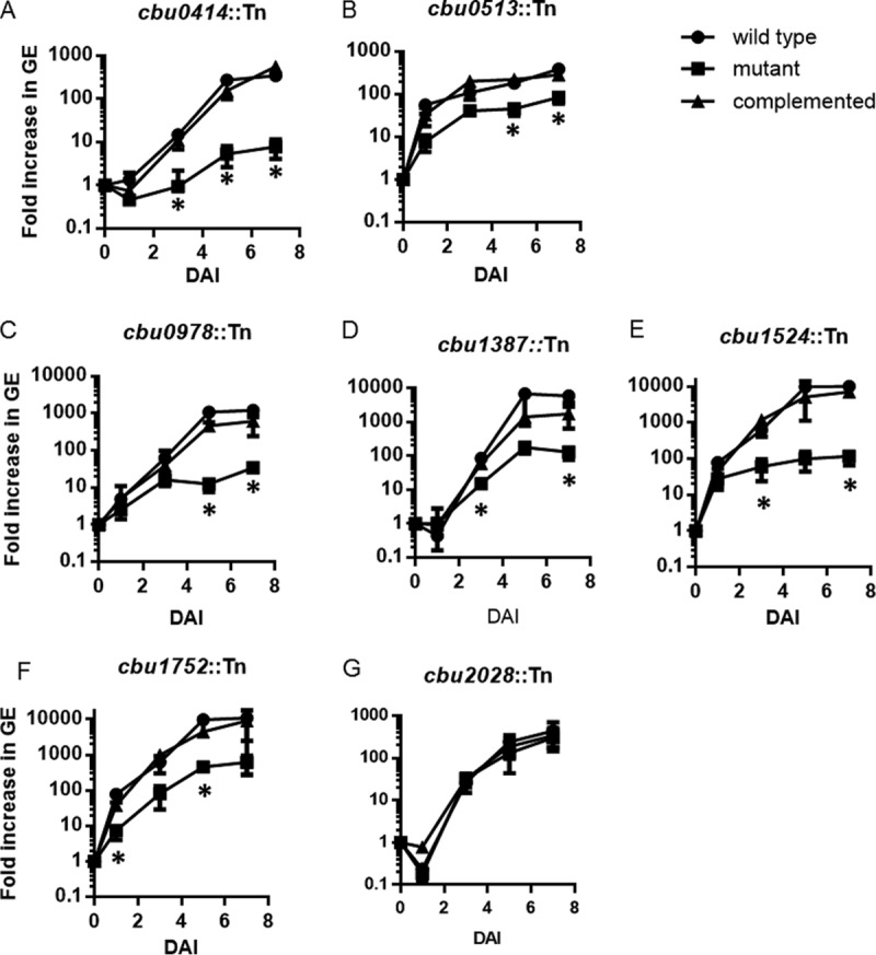 FIG 3