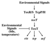 FIG. 6