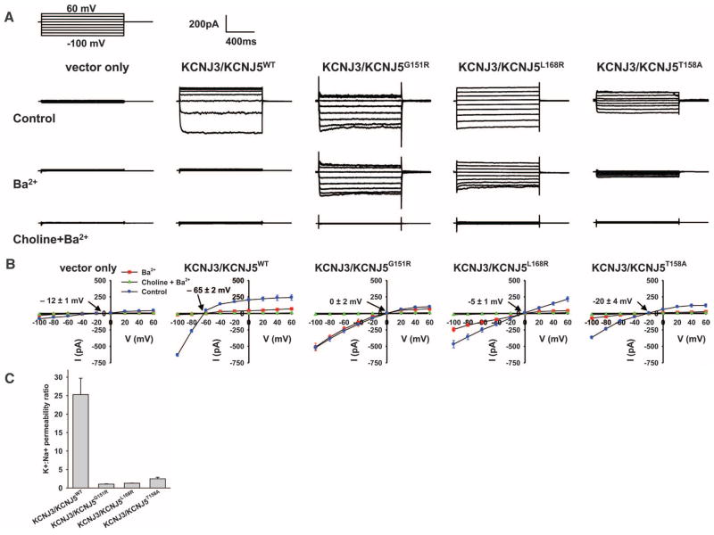 Fig. 3