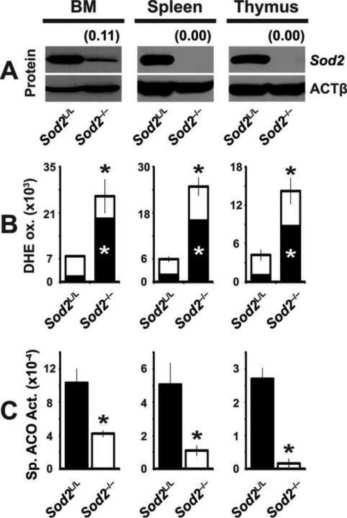 Figure. 1