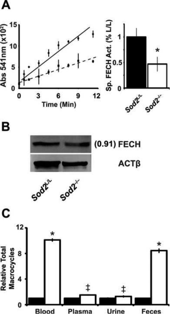 Figure. 5