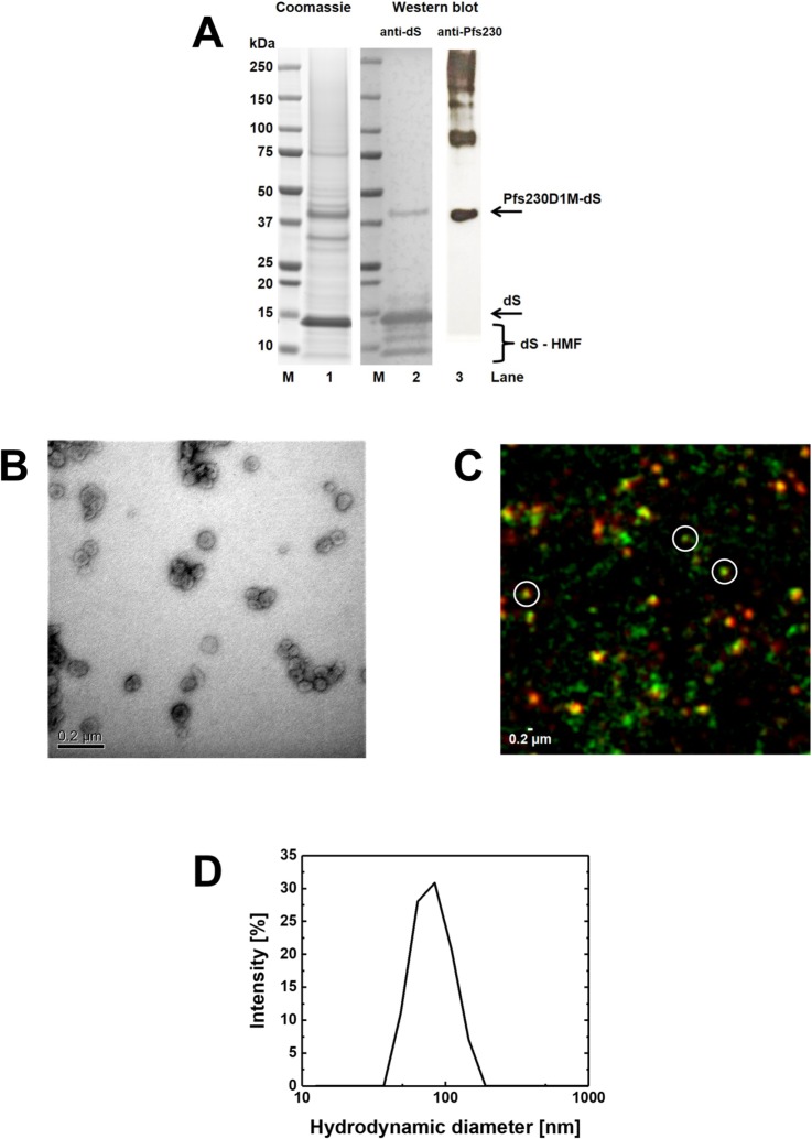 Fig 5