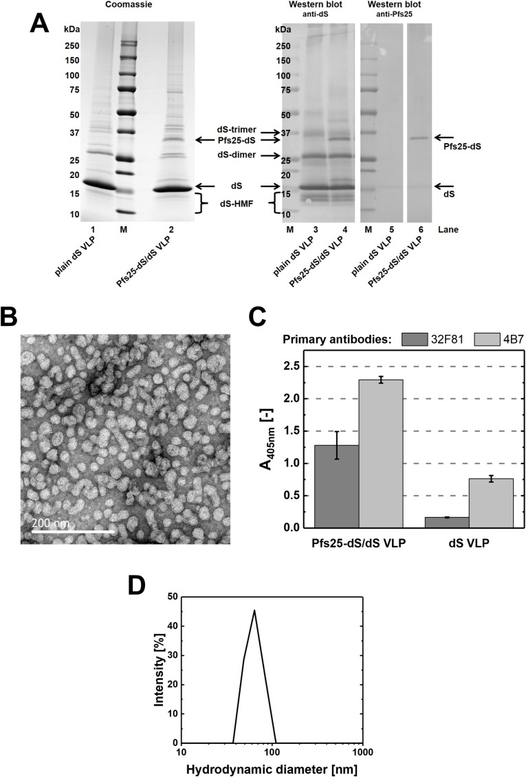 Fig 1