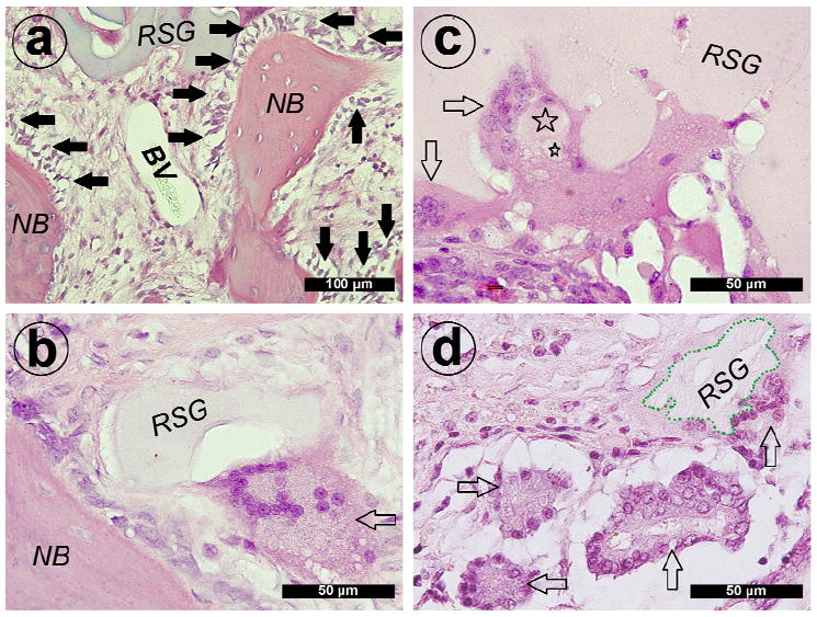 Fig. 9