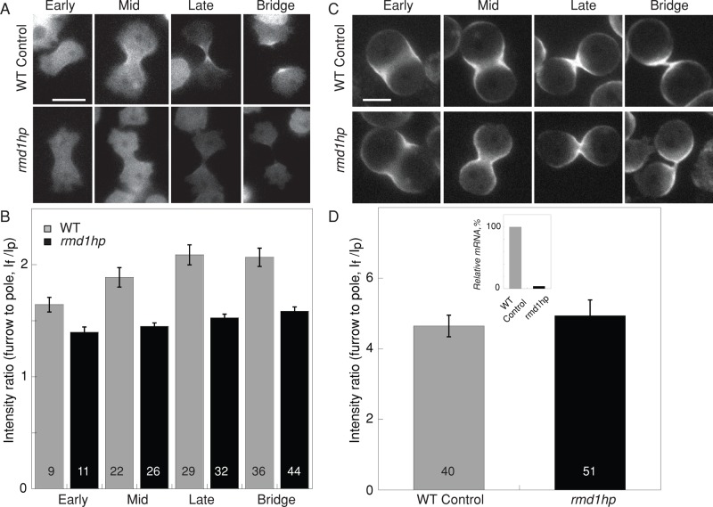 FIGURE 6: