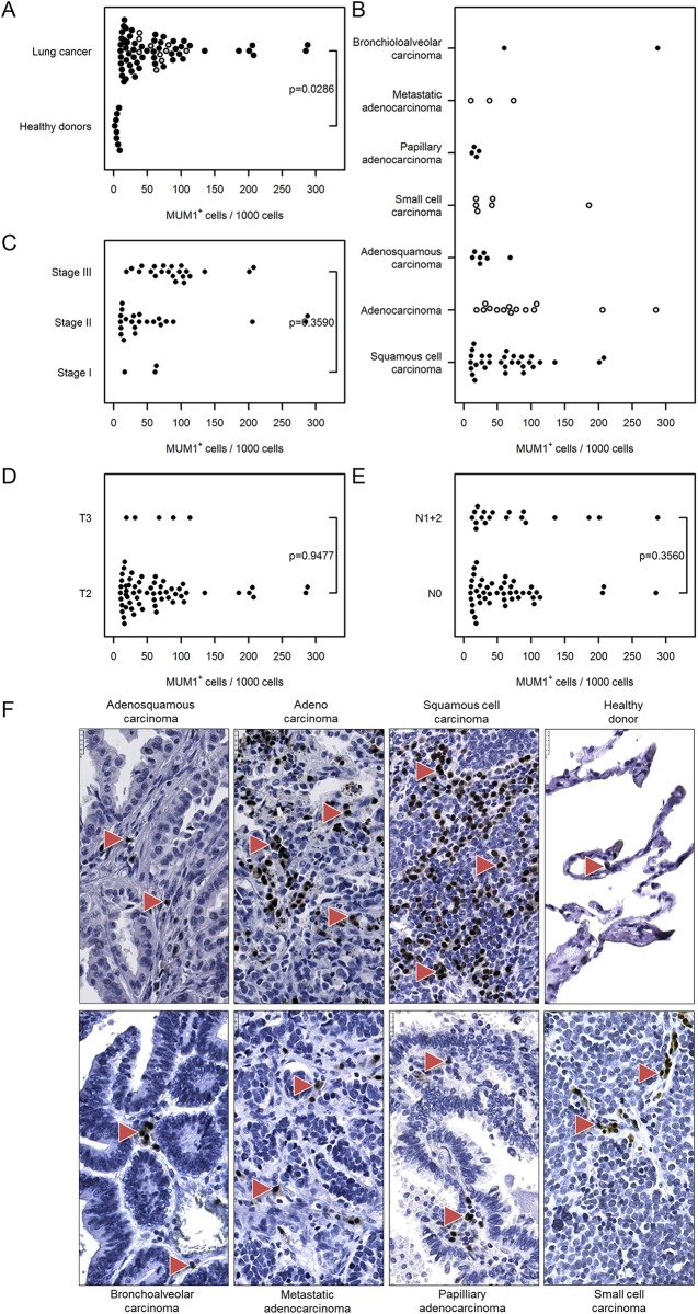 Fig 10