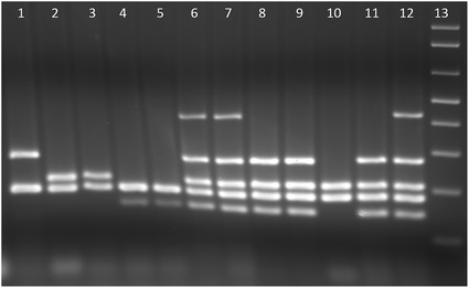 Fig. 2