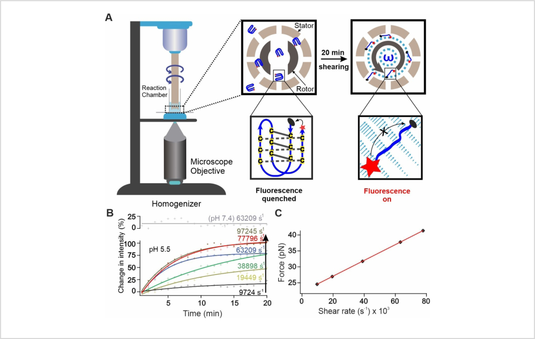 Figure 1: