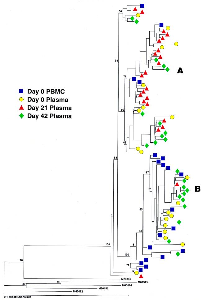 FIG. 6