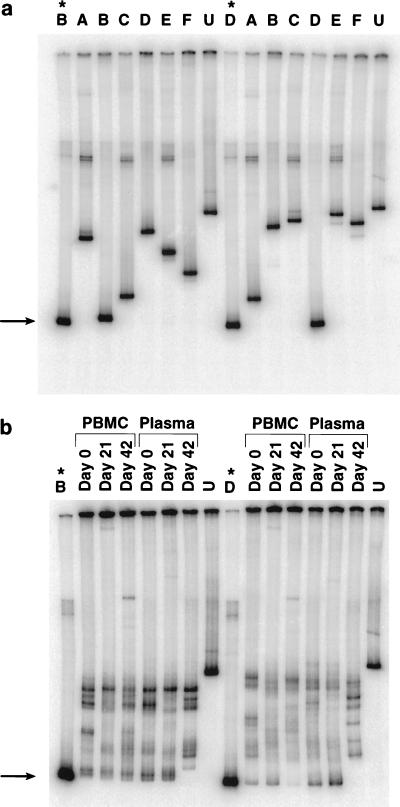 FIG. 5