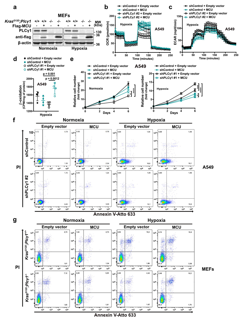 Extended Data Fig. 7