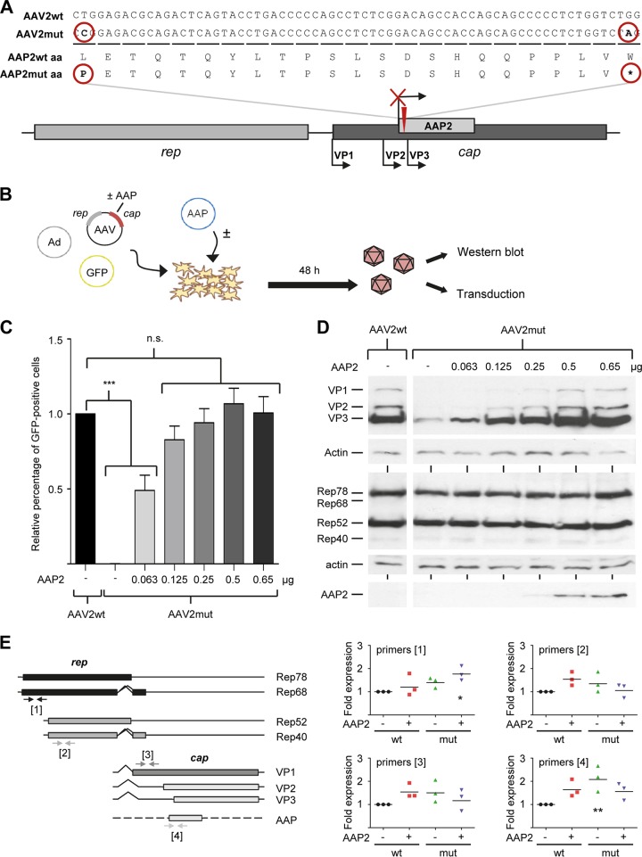 FIG 1