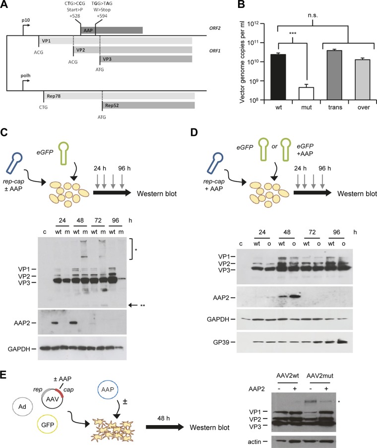 FIG 2