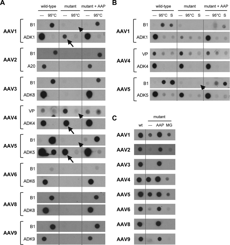 FIG 6