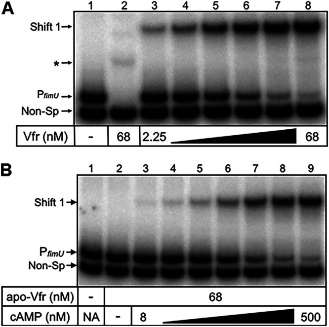 FIG 6