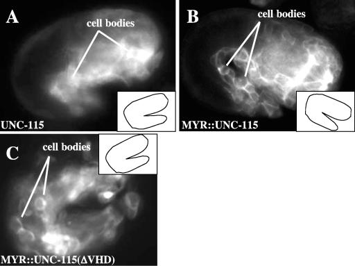 FIG. 5.