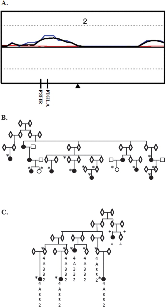 Figure 3