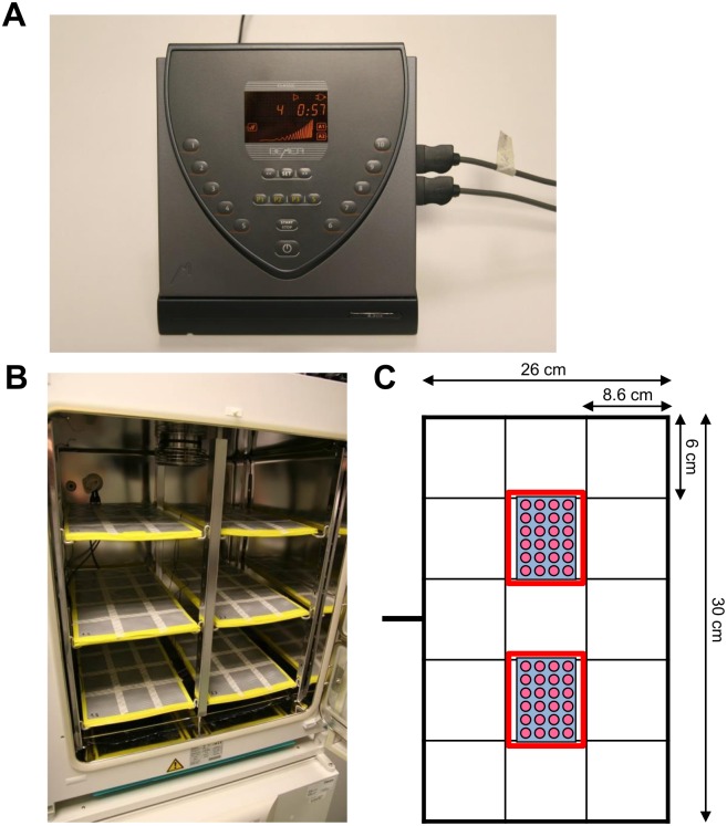 Fig 1