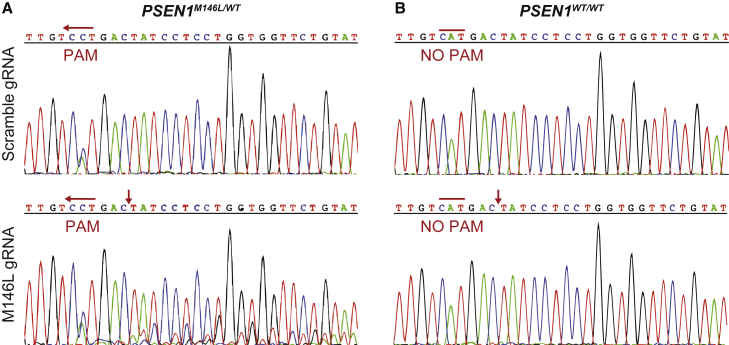 Figure 2