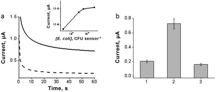 Fig.6