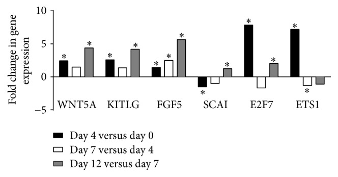 Figure 5