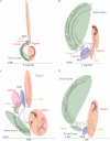 FIG 1