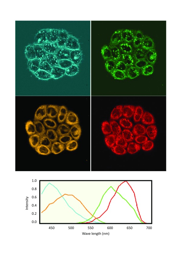 Figure 6. 