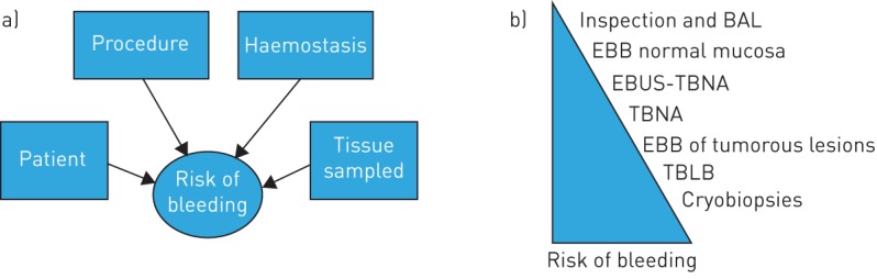 FIGURE 1