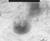 Fig. 13