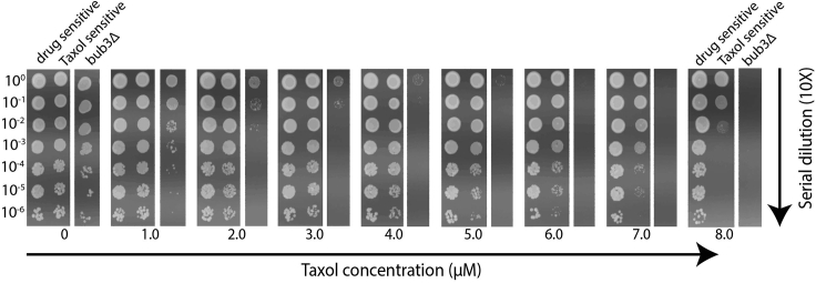 Figure 4