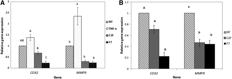 FIG. 8.