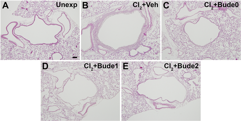 Figure 10.