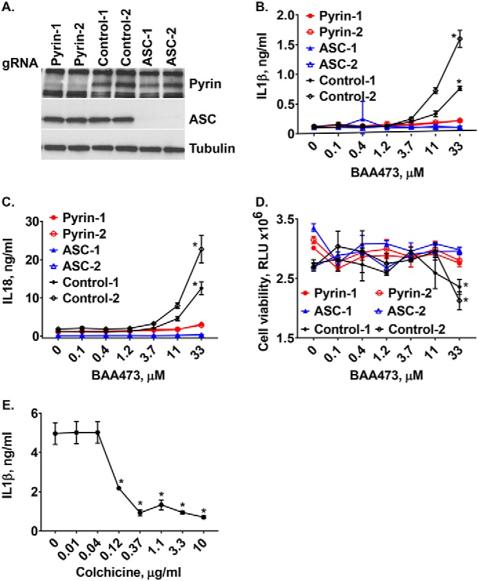 Figure 5.