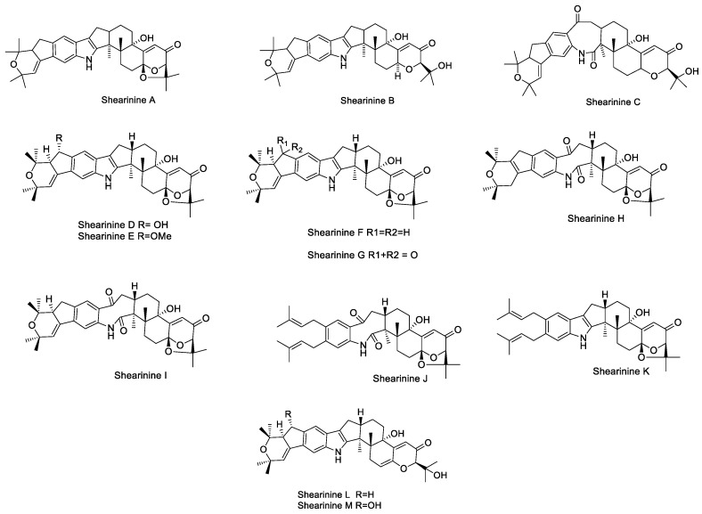 Figure 13