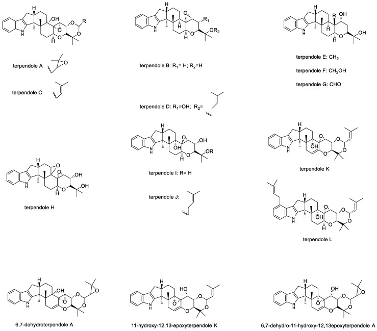 Figure 7