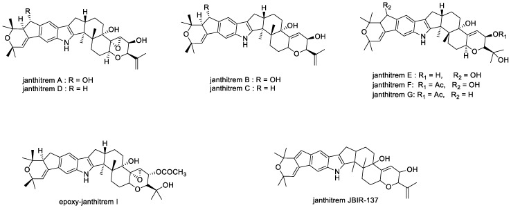 Figure 12