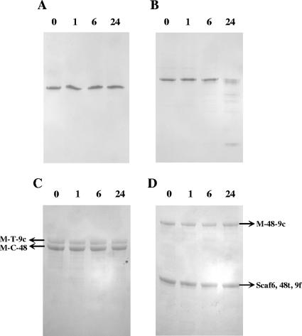 FIG. 7.