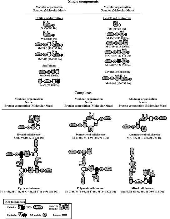 FIG. 1.